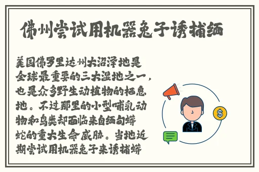 四虎影视免费完整版在线观看